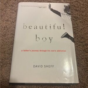 Beautiful Boy a father’s journey through his son’s addiction by David Sheff